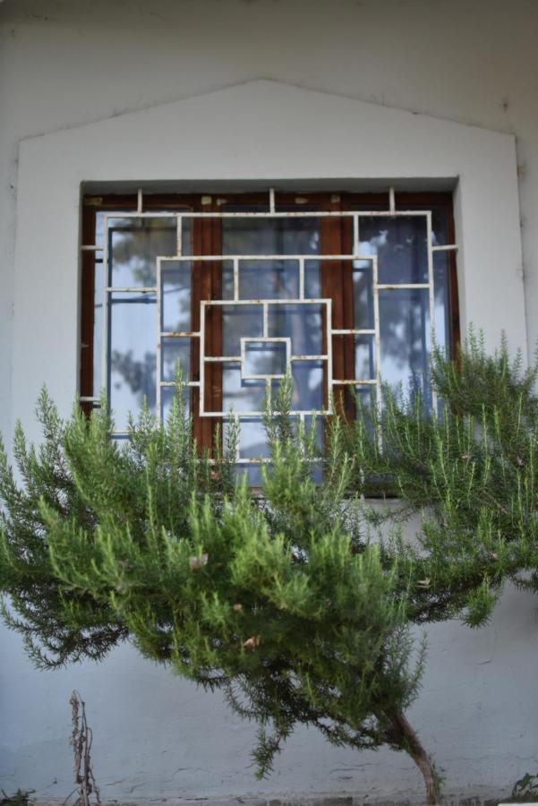 Private Apartment At Guest House Hektor & Aferdita Vlorë Εξωτερικό φωτογραφία